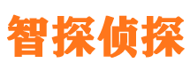 扶余调查事务所